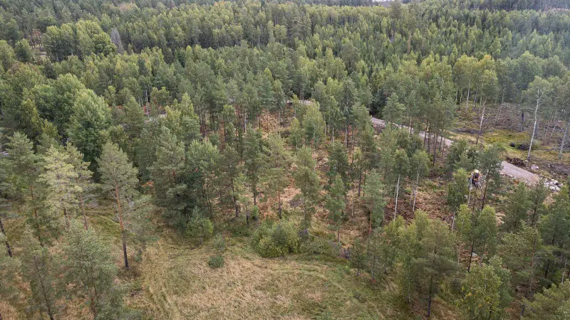 Land / plot