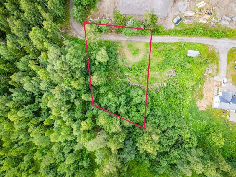 Land / plot