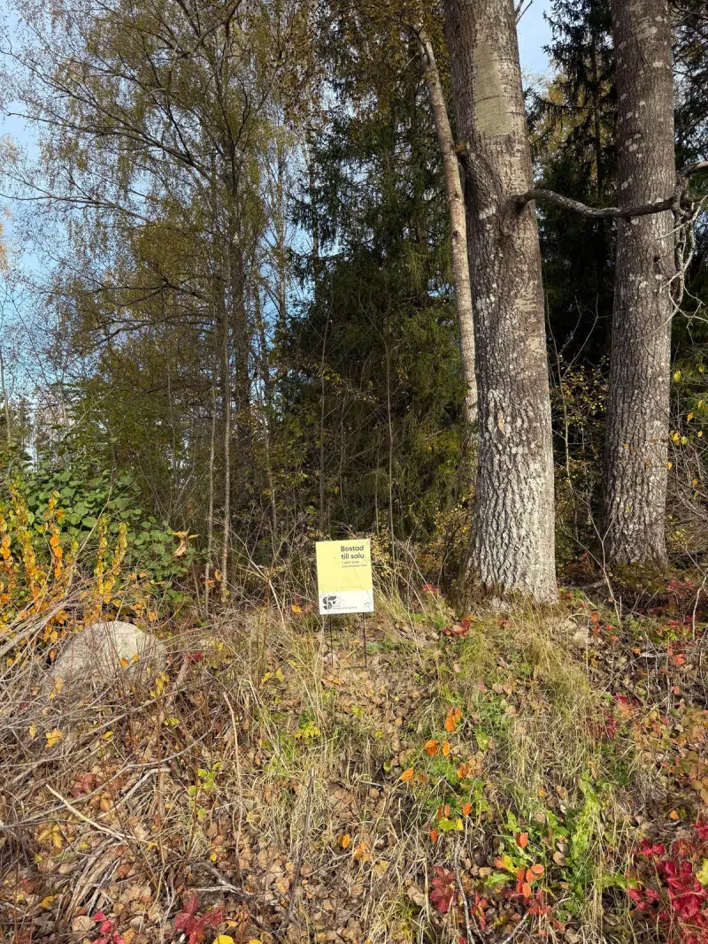 Land / plot