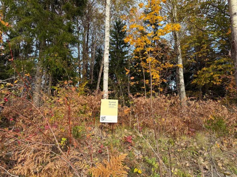 Land / plot