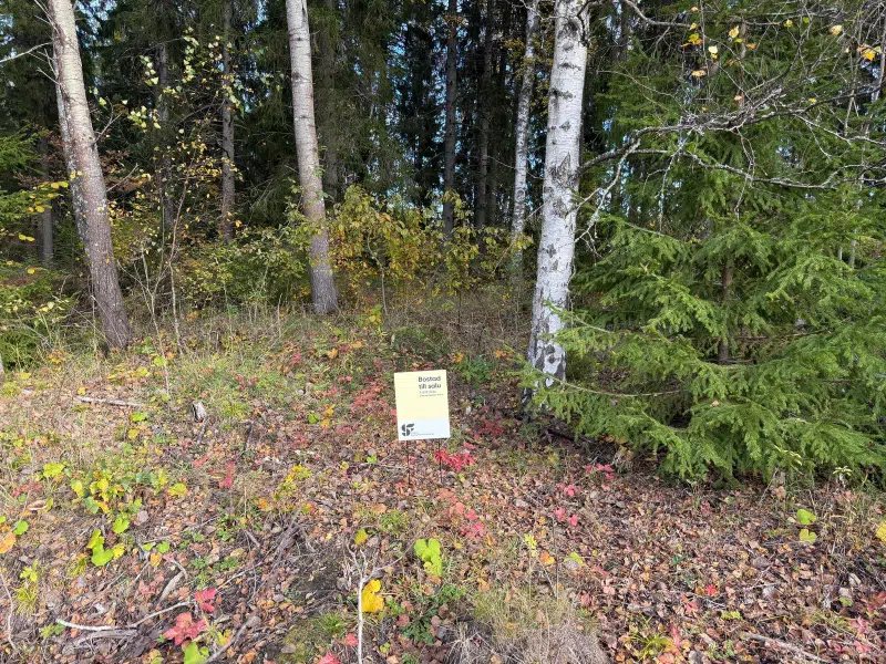 Land / plot