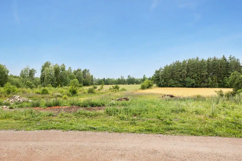 Land / plot