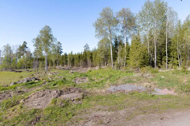 Land / plot