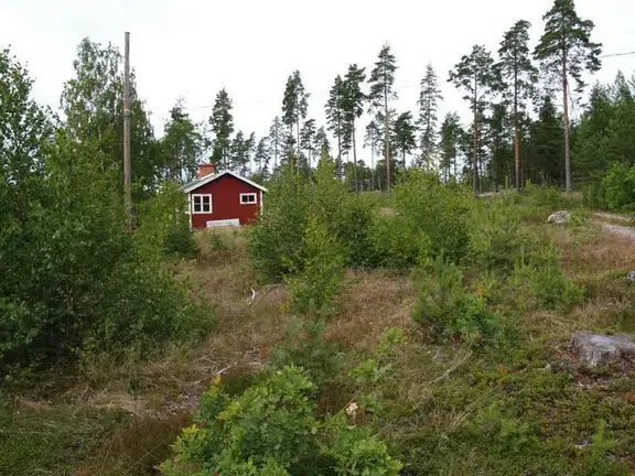 Bild 1 av 21 på Boulevarden 54