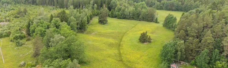 Land / plot