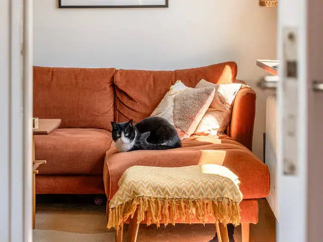 Lägenhet, 2 rum, 54 m² i Hägersten
