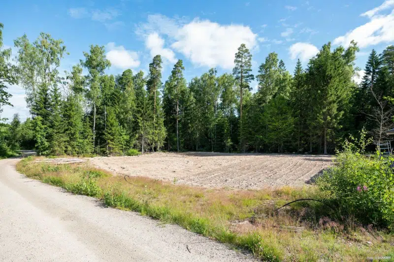 Land / plot