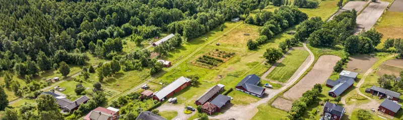 Farm