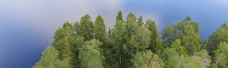 Fritidshus