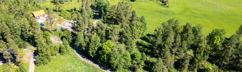 Land / plot