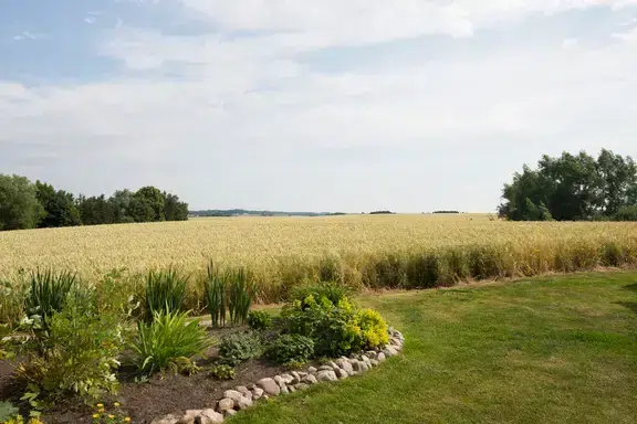 Lägenhet