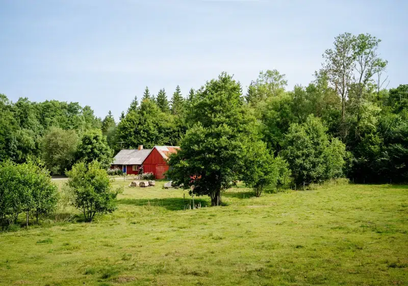 Lägenhet