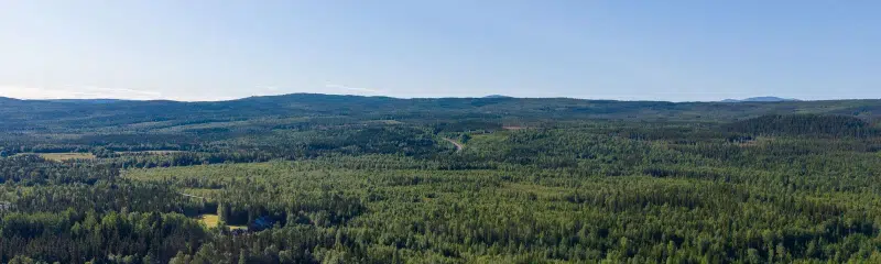 Land / plot