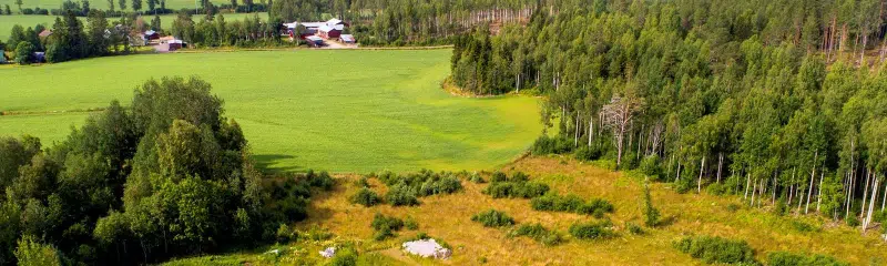 Land / plot