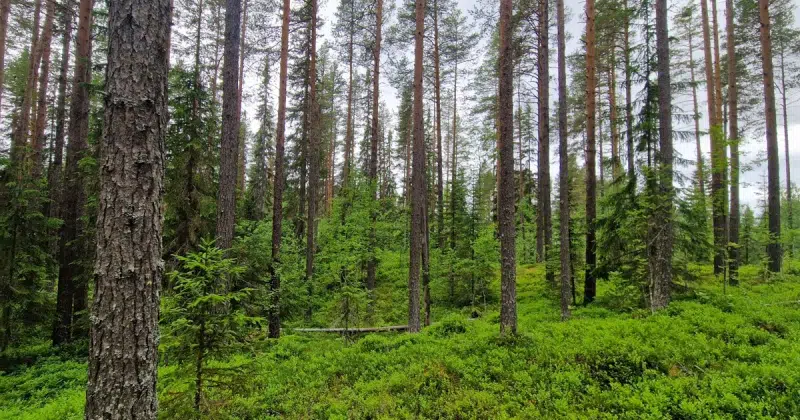 Lägenhet