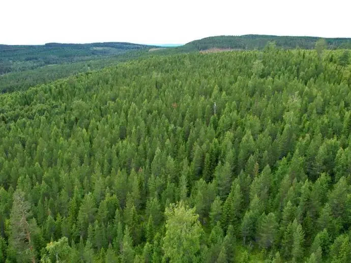 Lägenhet