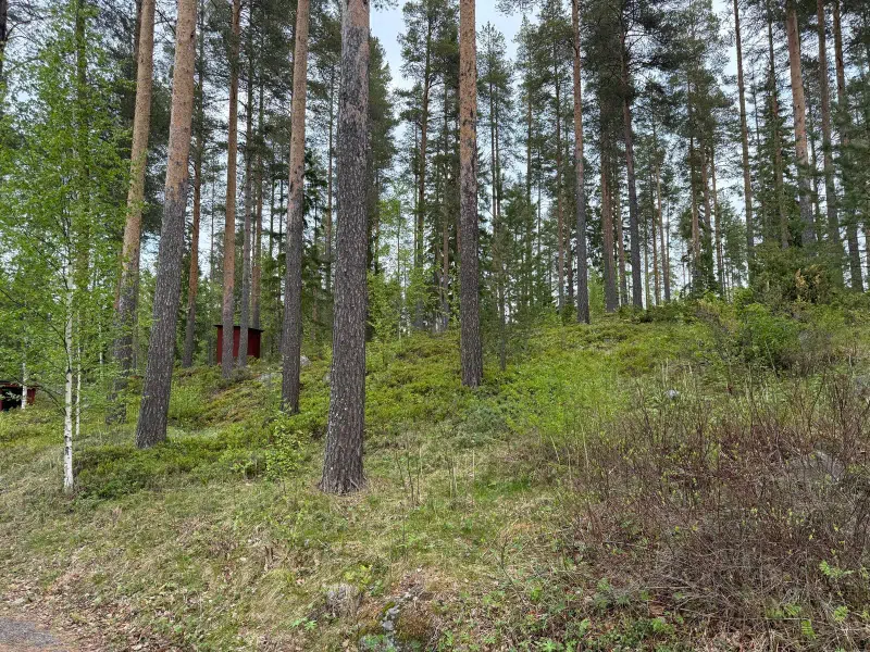 Land / plot