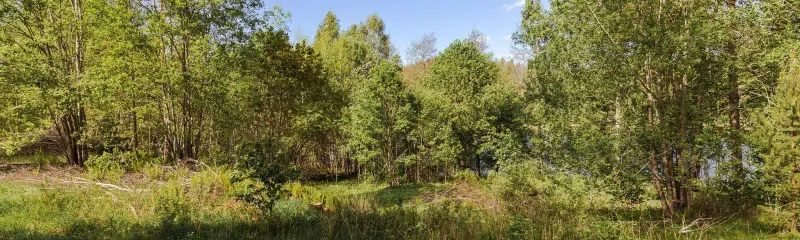 Land / plot
