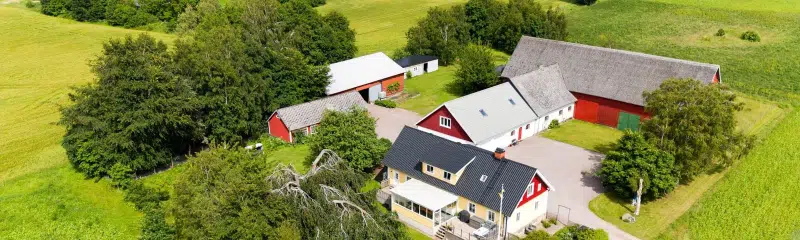 Farm