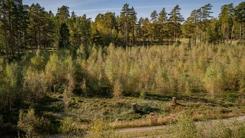 Land / plot