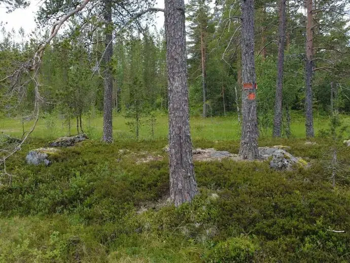 Lägenhet