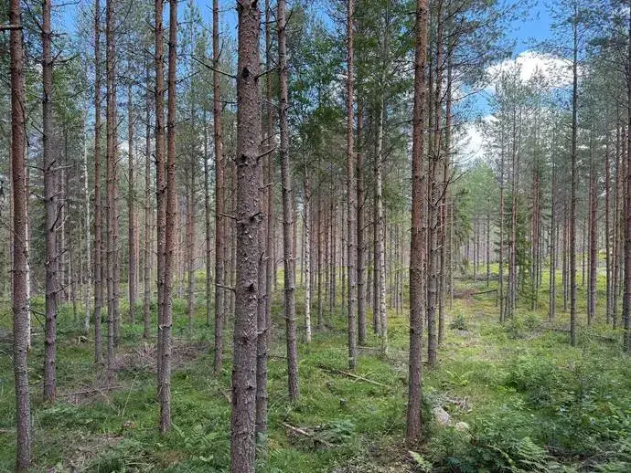 Lägenhet