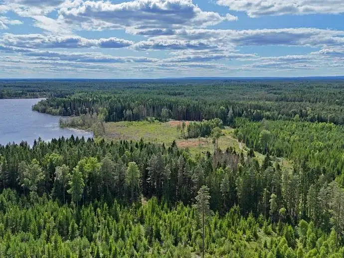 Lägenhet