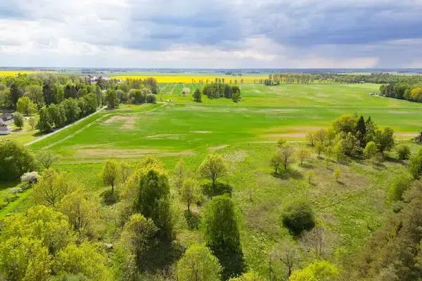 Land / plot