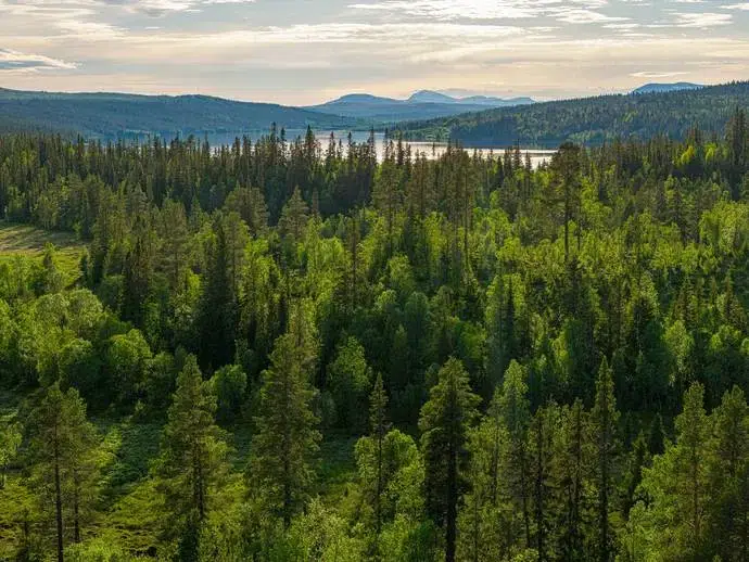 Lägenhet