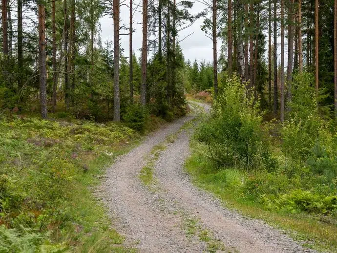 Lägenhet