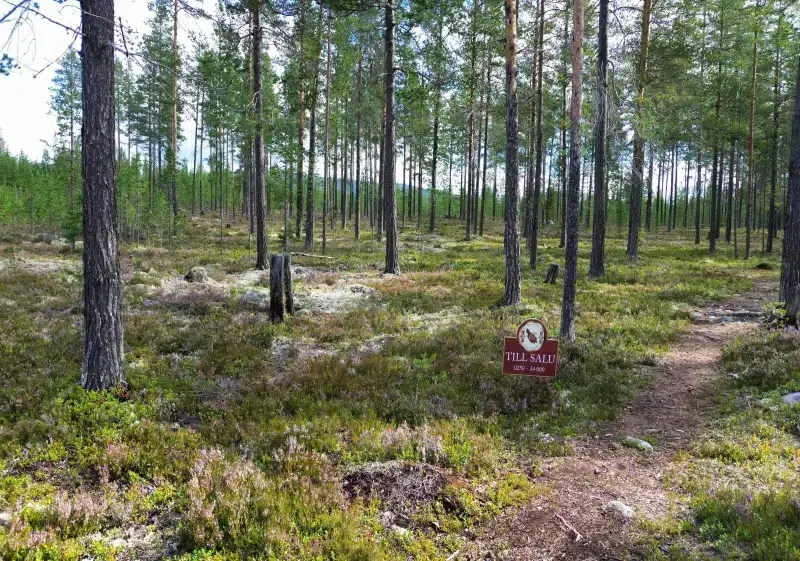 Land / plot