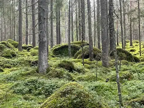 Lägenhet