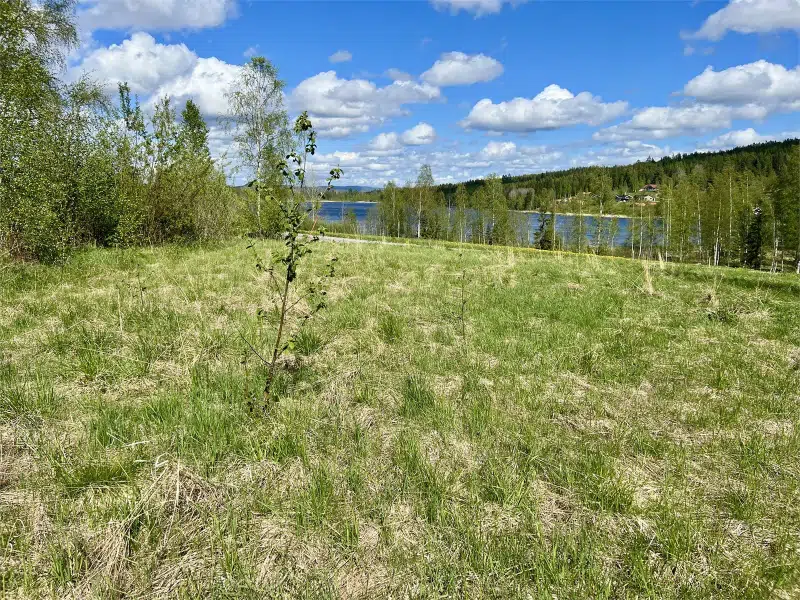 Land / plot