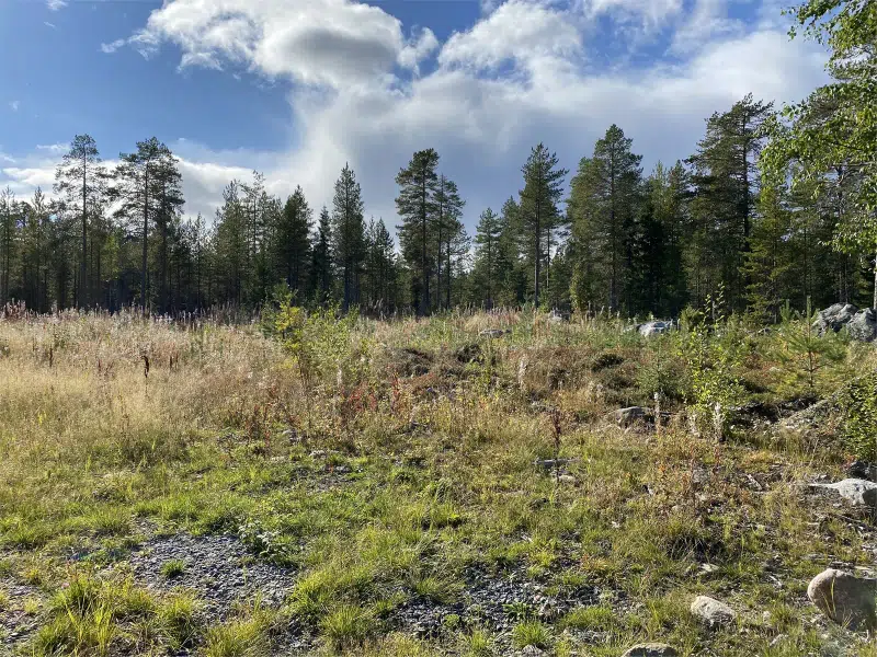 Land / plot