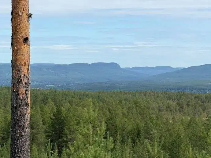 Lägenhet