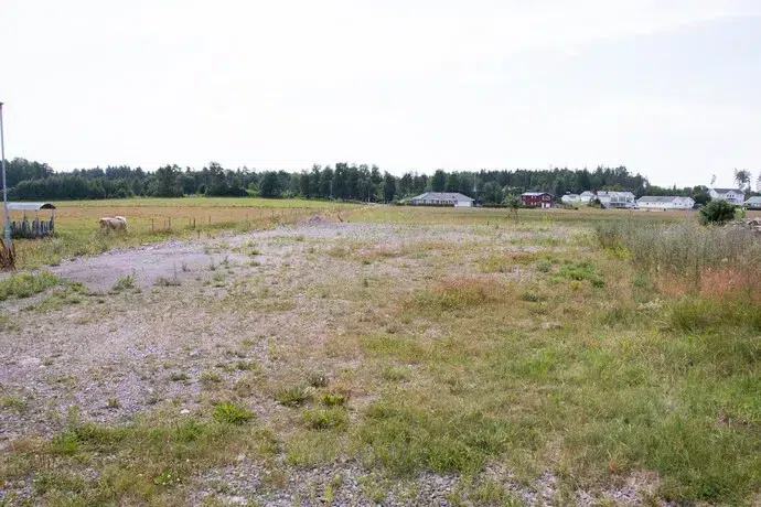 Land / plot