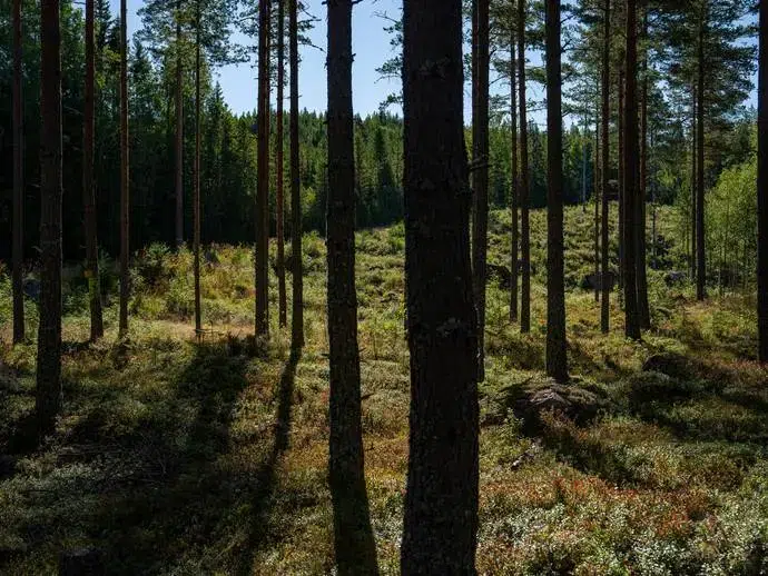 Lägenhet