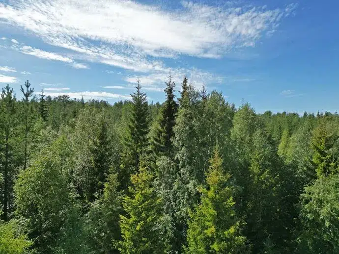 Lägenhet