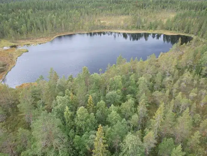 Lägenhet