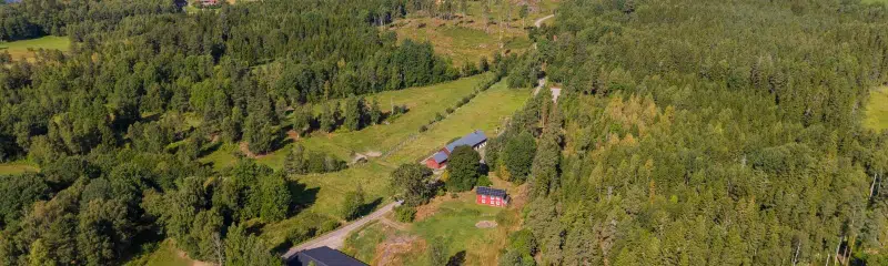 Gård