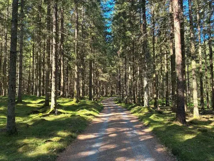 Lägenhet