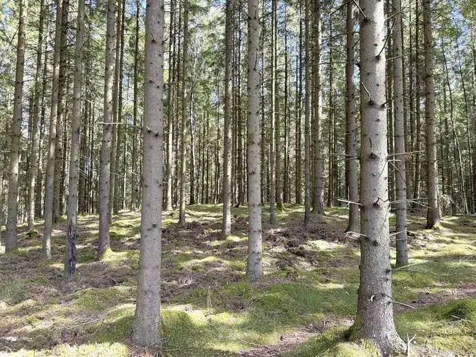 Lägenhet