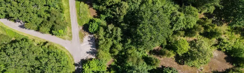 Land / plot