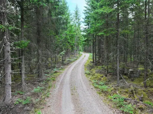 Gård
