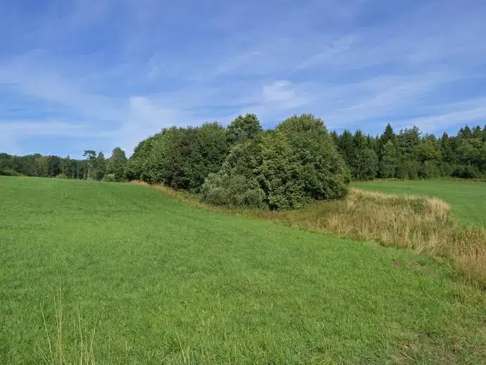 Lägenhet