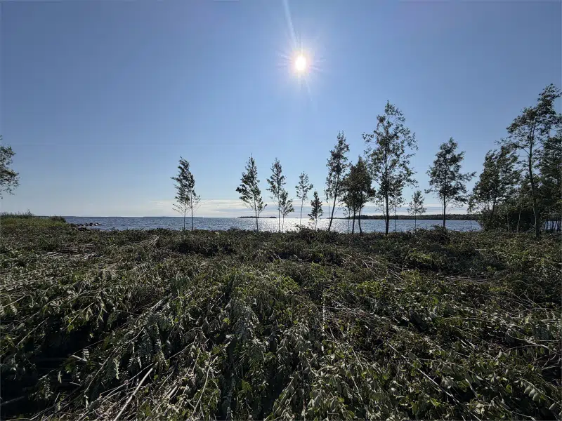 Land / plot