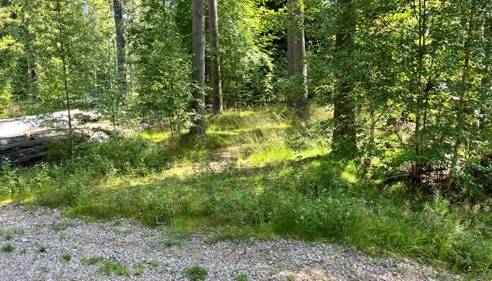 Image 1 of 1 of Äbbsäl