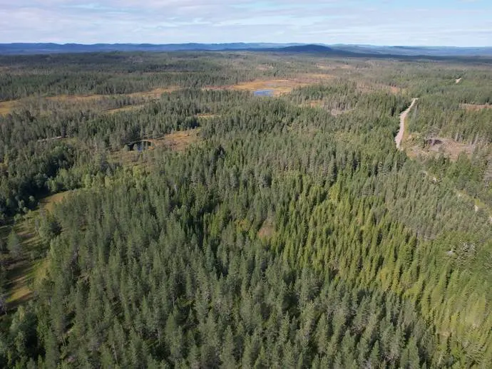 Image 1 of 21 of Skålmo