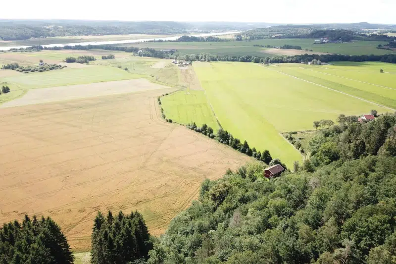 Land / plot