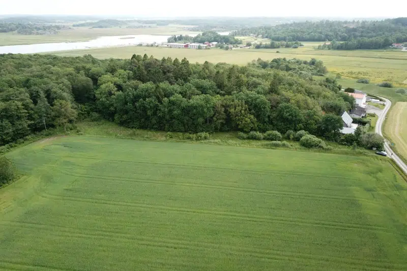 Land / plot